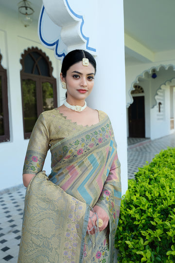 Ishika Fab Grey Organza Saree